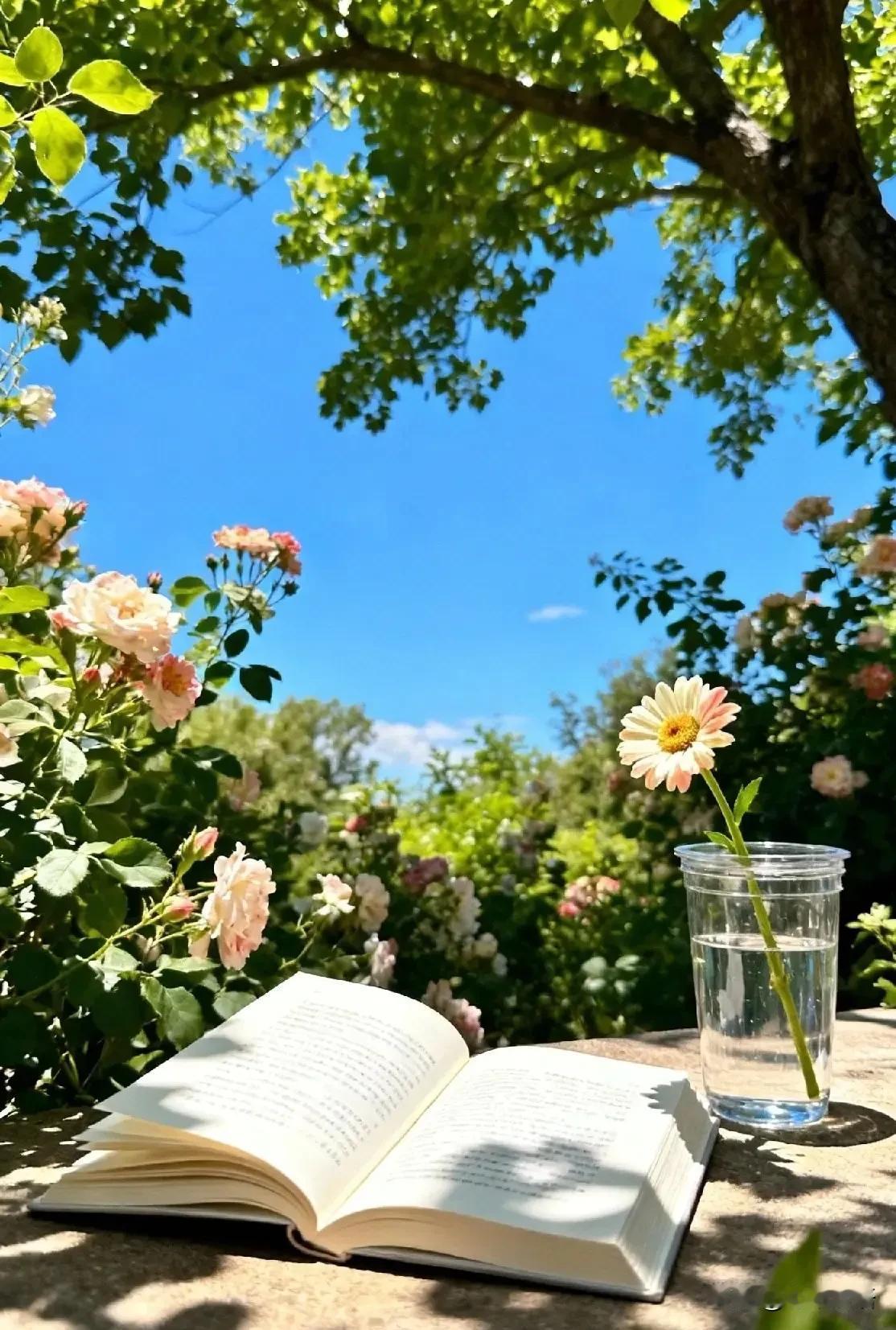 经济下行，什么生意反而暴涨？答案是：卖“多巴胺”。经济越低迷，人心越焦虑