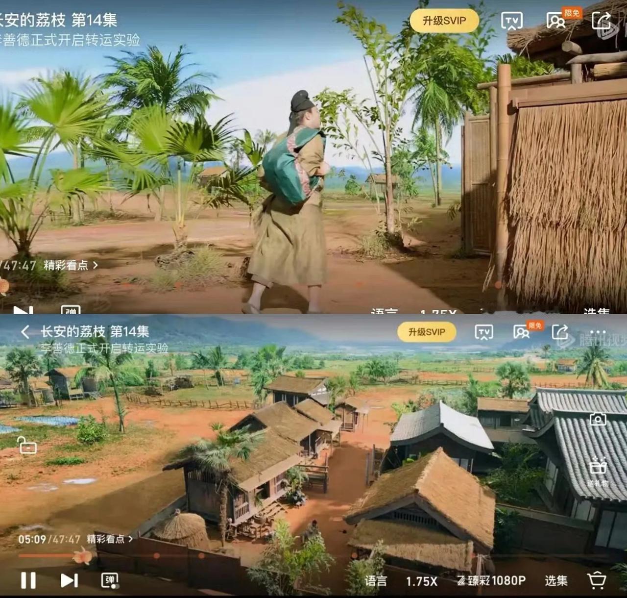 笑死，这画质是雨林地图？看着确实精美，但总会出戏[笑着哭]