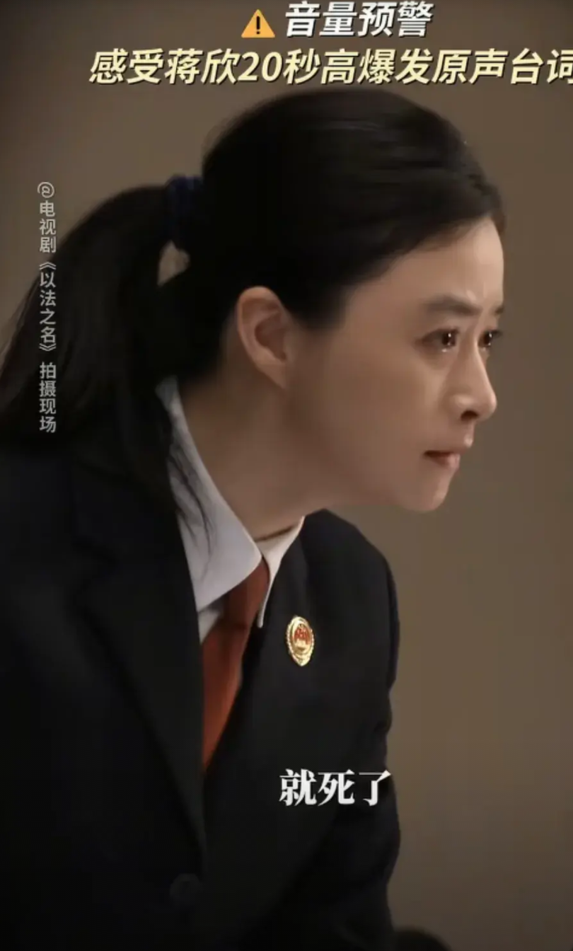 要不要生二胎，蒋欣用现状告诉你，万万没想到，她跟孙俪差不多大，在《以法之名》