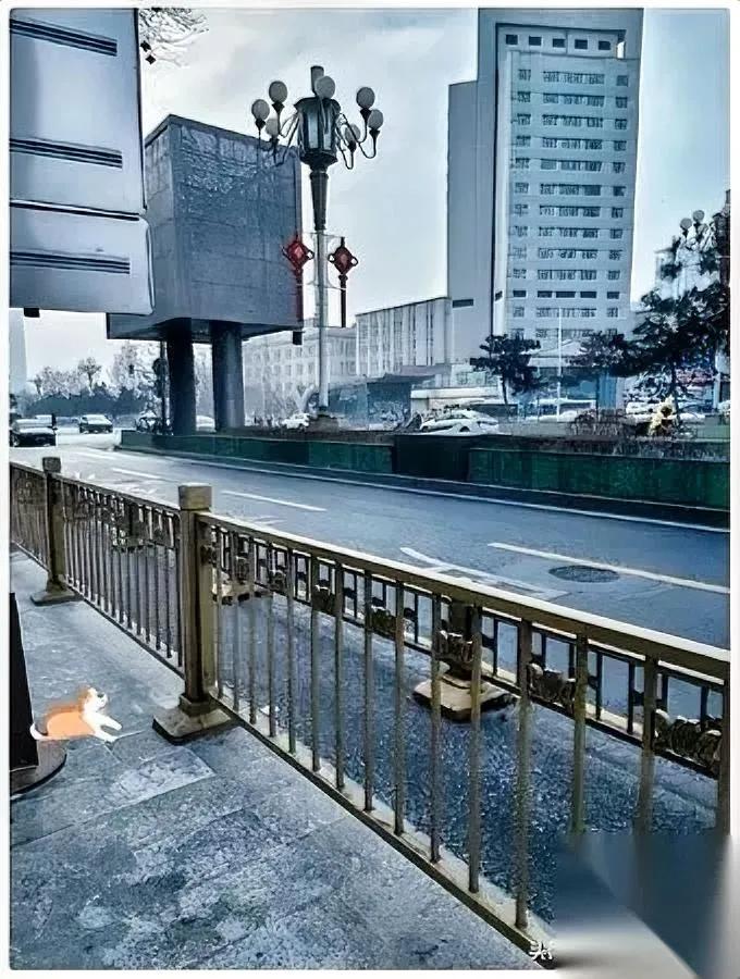 我妈夸我哥最孝。我停了她的生活费。结果我哥的电话炸了——急得直吼：“你忘转钱