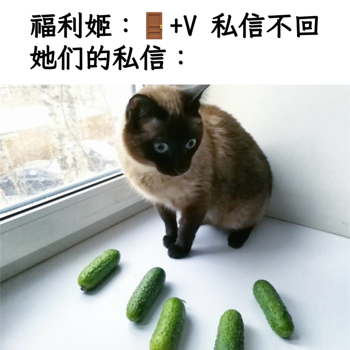 黄瓜轰炸memes​​​