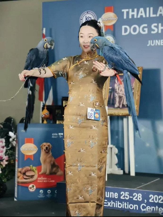 霍思燕全家进入争气时代霍思燕是御兽宗长老吧杜江争气，嗯哼争气，狗争气，现在鸟也争