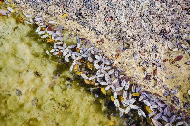 巴厘岛脏水病有多恐怖？中国游客喷射性呕吐，20人集体中招1人殒命以为是浪漫