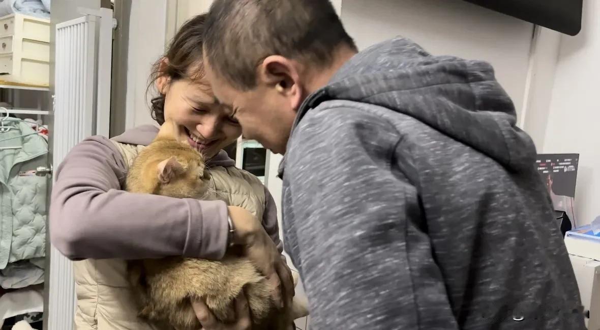 当下的具象化表达，两人一猫。心都在猫身上，没有额外的杂念闯入思绪。我想，这是宠物