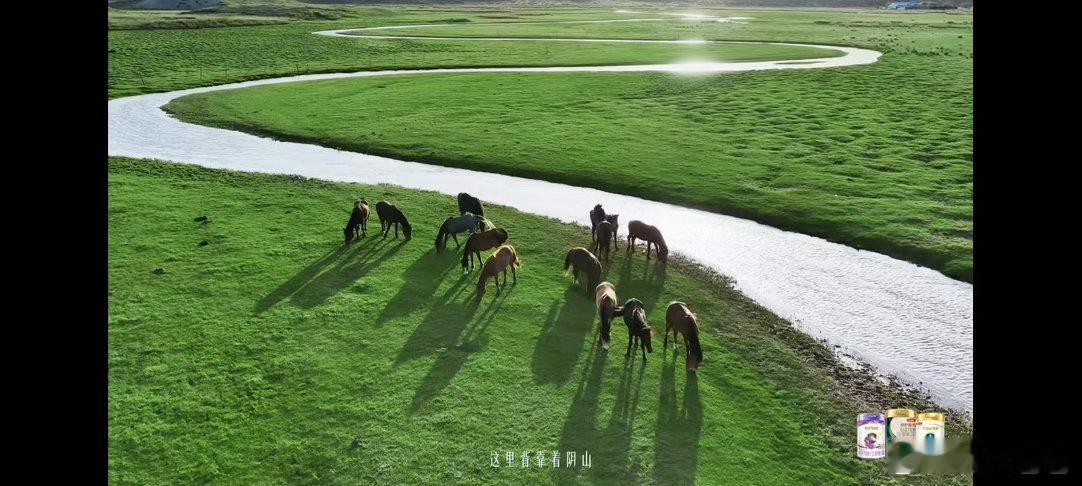 很喜欢这段敕勒川的镜头记录，真实、质朴、不刻意。草原一望无际，视野通透，空气、牧
