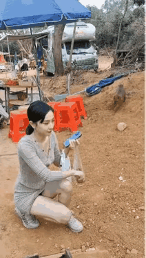 我活得不如一群猴子…都没有美女来喂我