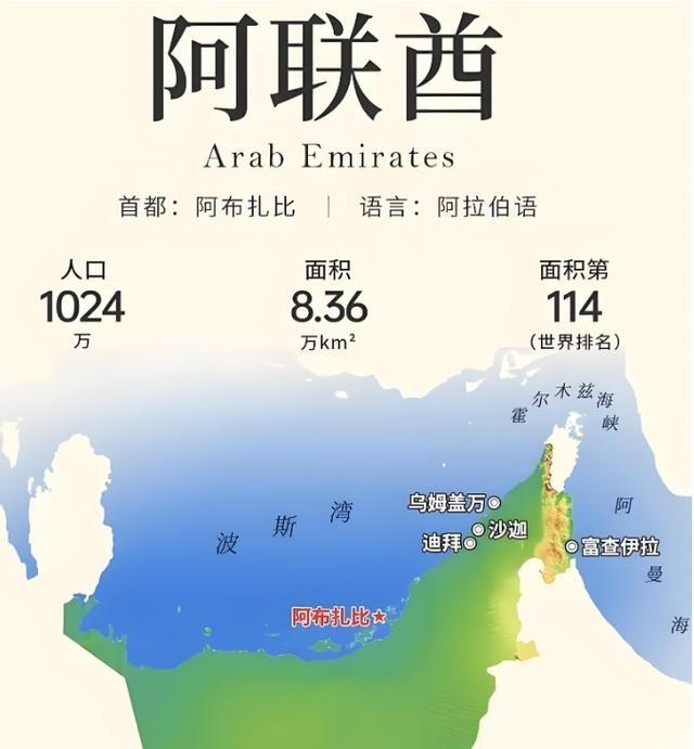 阿布扎比的王储来了。专机在北京降落的那一刻，这位酋长心里怕是不太好受。不是因为我