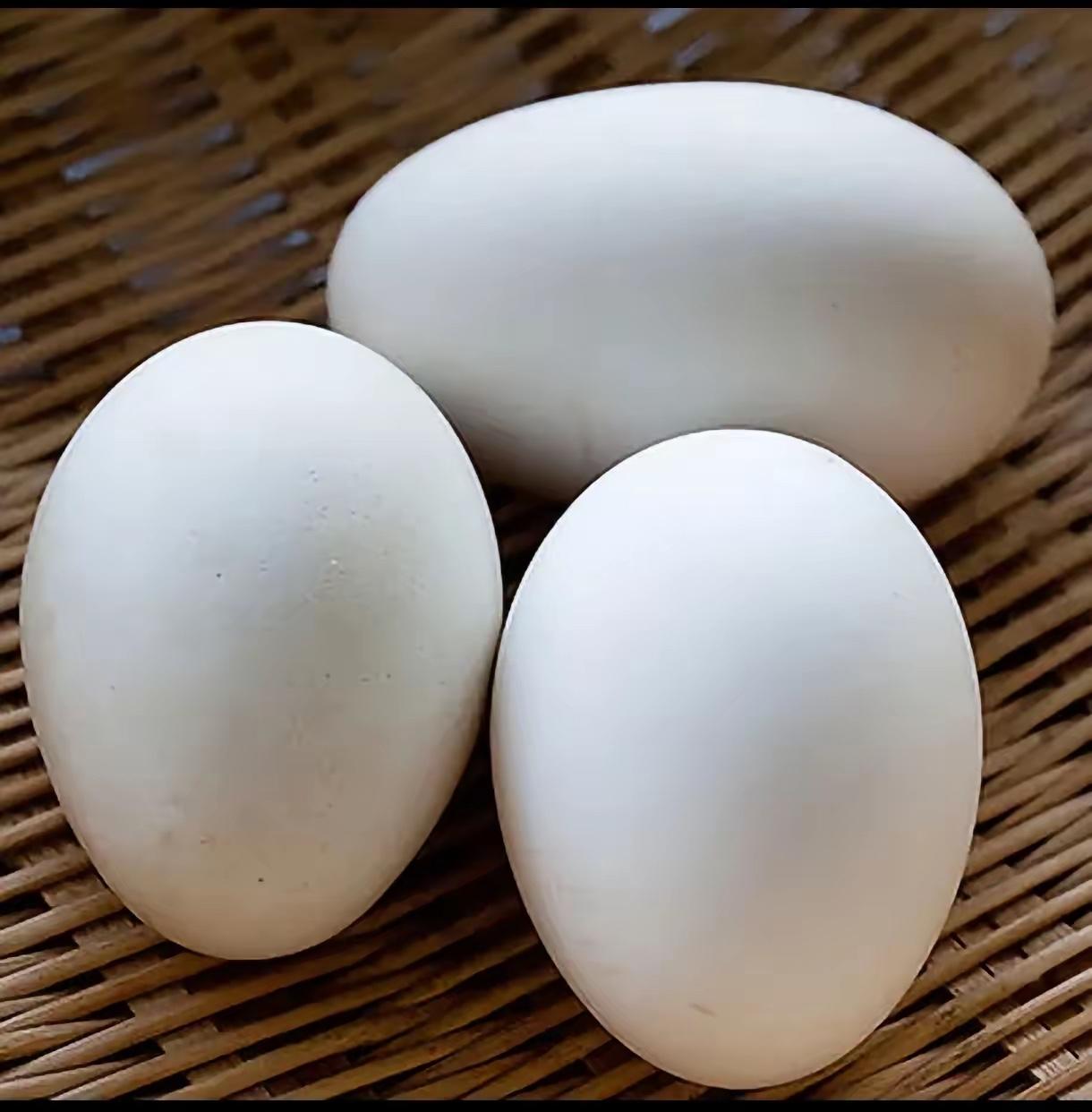 听闻吃鹅蛋能够防癌、增强免疫力，还能治疗咳嗽，我也跟风吃了一个月。唯一的感受就是