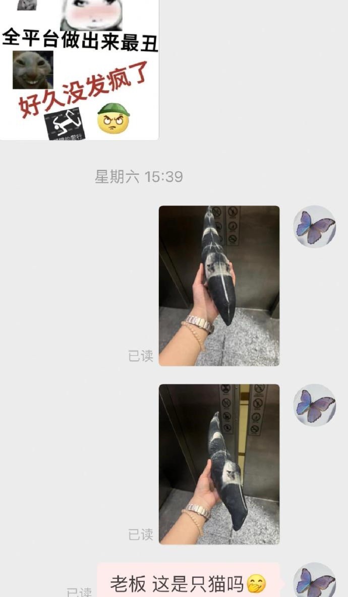老板:你就说是不是最丑的吧