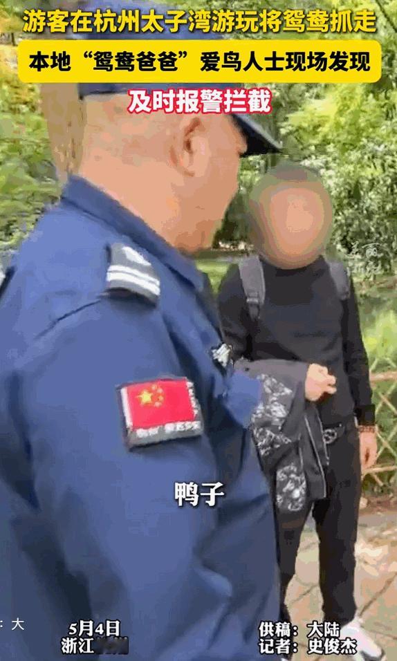 🐼真是又气又庆幸！5月4号，杭州太子湾，有游客趁游玩时偷偷把一只小鸳鸯装进