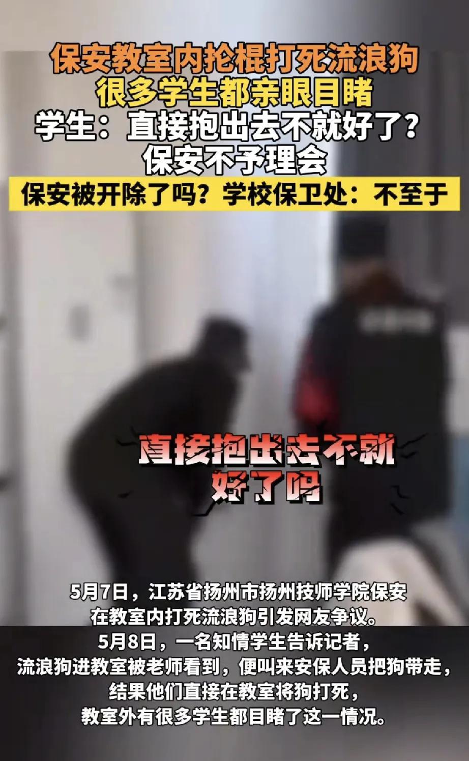 近日，江苏省扬州市扬州技师学院发生的一起事件引发社会广泛关注。5月7日，一只流浪