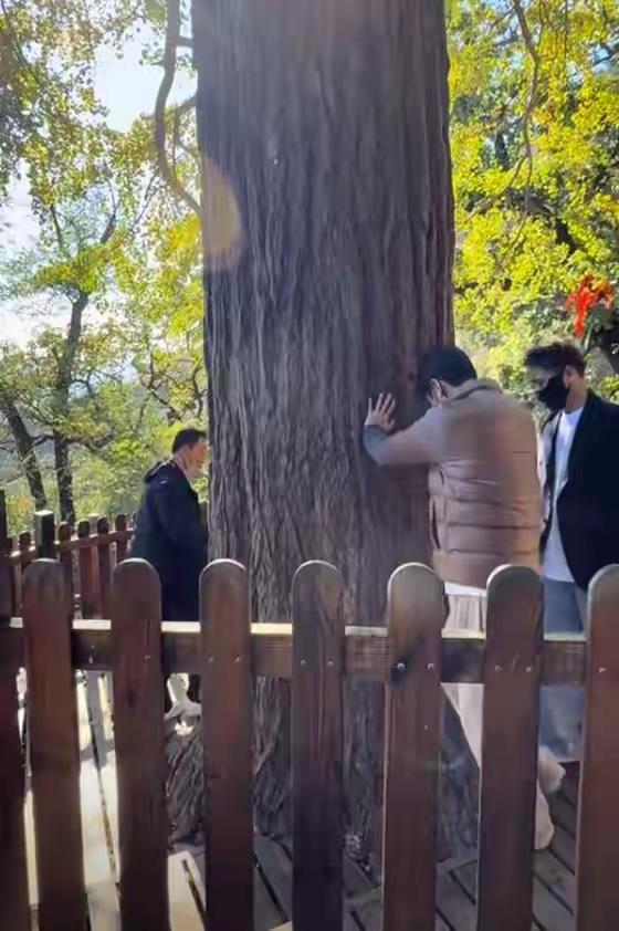 我有种预感辛柏青icon，怕是又要上热搜了原因很简单，他居然5个月不换头像