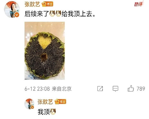 袁弘送张歆艺葵瓜子大圆盘！6月12日，张歆艺晒出了与一大盘葵瓜子的合照，真的