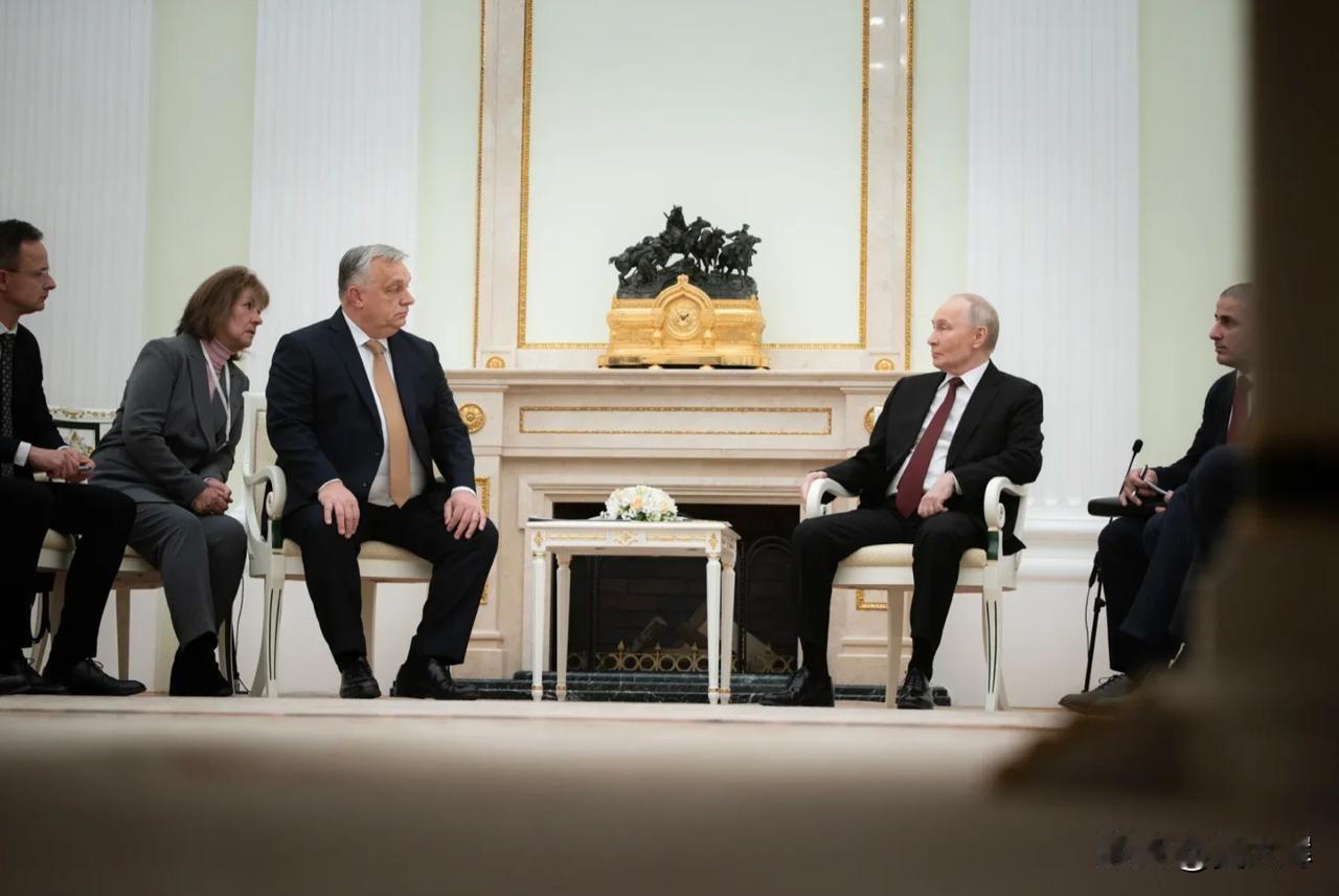 欧尔班的翻译在会面中误传普京言论。普京与匈牙利总理欧尔班会谈期间，匈牙利翻