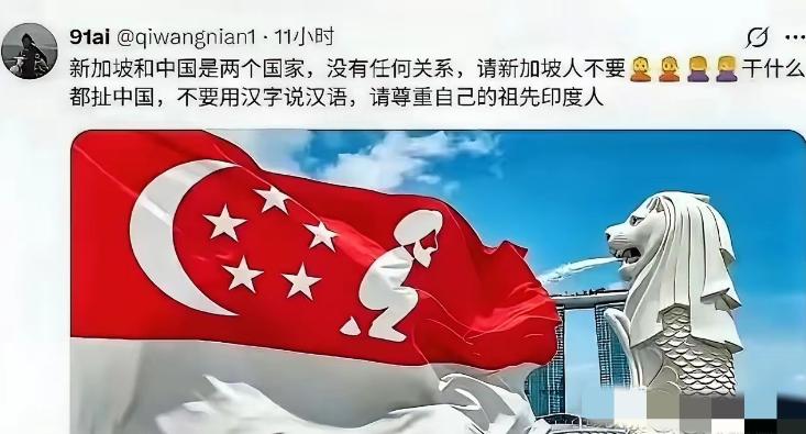 一张恶搞新加坡国旗再次引爆“印家坡”争论，新加坡火速全网封禁，反手扣帽子说来自“
