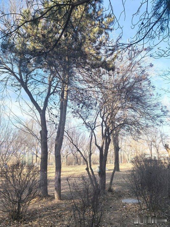 大钱将至皆有预兆：修好心性，自会迎来属于你的泼天富贵网上关于“财富来临前的