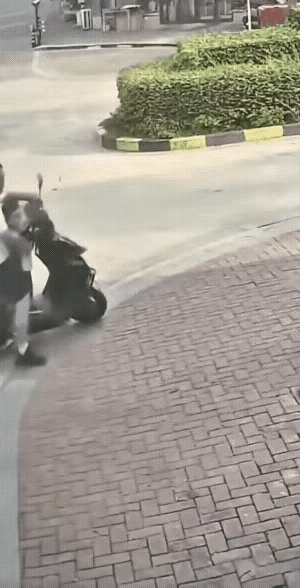 真的要夸爆这位爸爸的反应！那狗直奔孩子冲过来时，他没有半秒犹