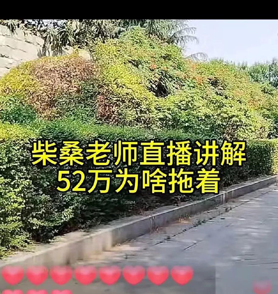 哇！她们延期的主意真的是花样百出，连绿老师都利用起来了。但柴桑大姐说绝不放弃，一