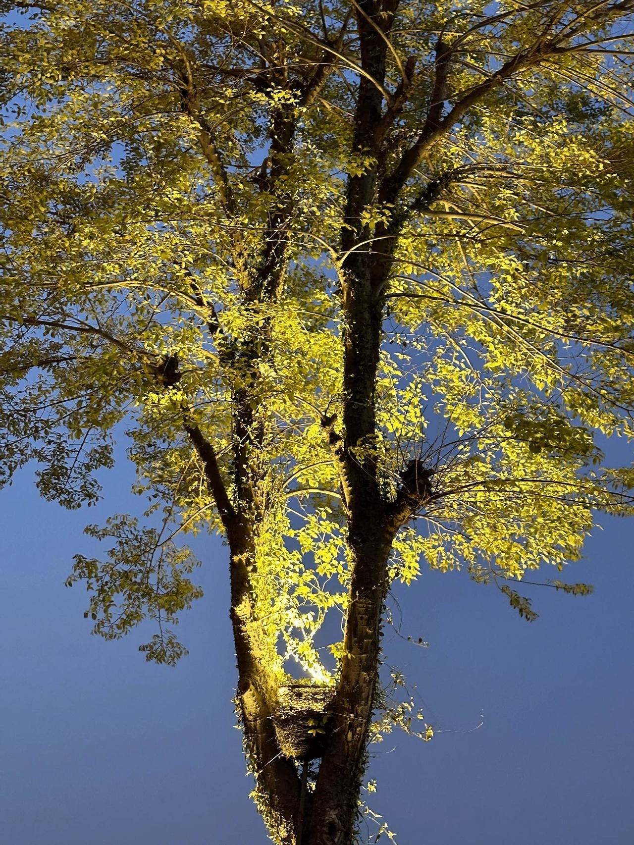 王志文的通透，在于他能用最直白的语言，道破最残酷的真相。他认为，成年人的社交场，