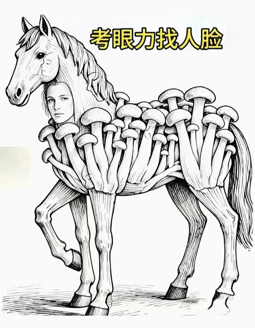 考一考:这匹马有多少张人脸神奇的人类眼睛