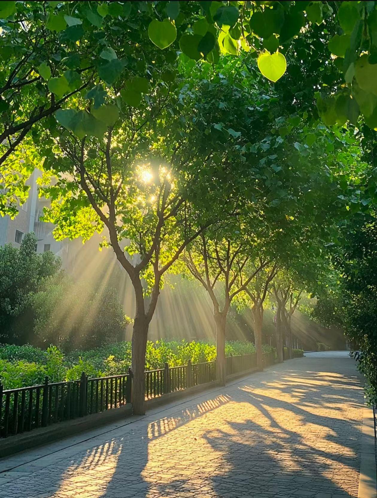 我家公婆也是明智，退休后把老房子卖了，在我们小区附近买了套小平米的一居室，为的就