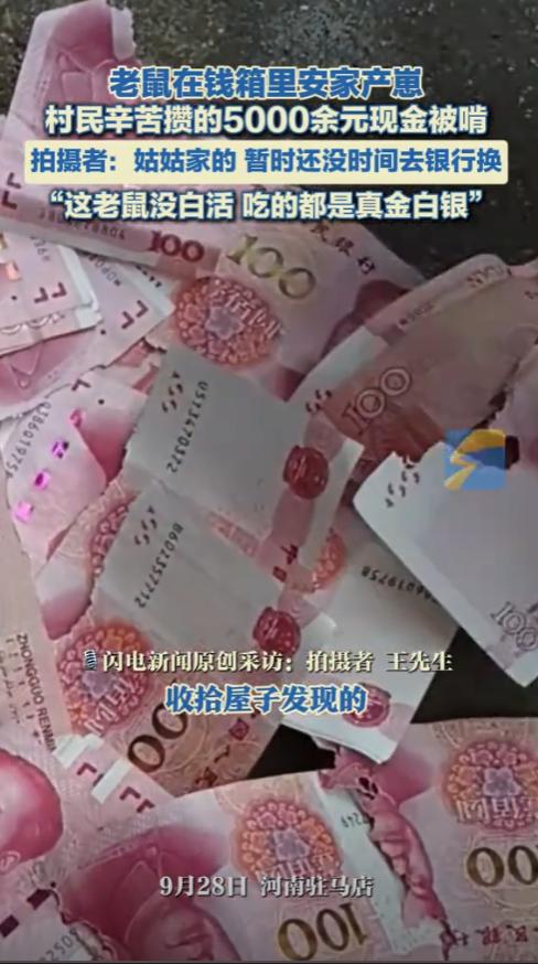 担心的事还是发生了！河南驻马店，一男子在家中干活时，意外找到了一个装钱的箱子，结