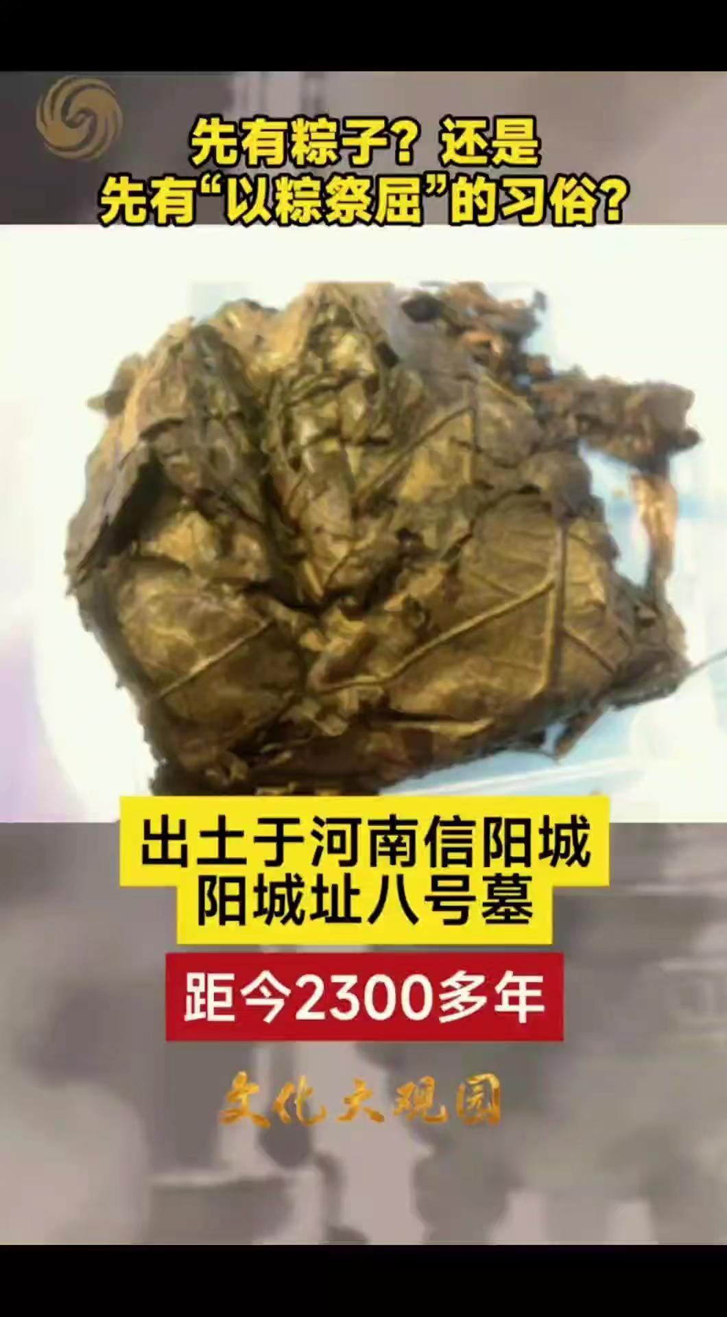考古出土的粽子，距今2300年。宣合堂南阳考古河南考古