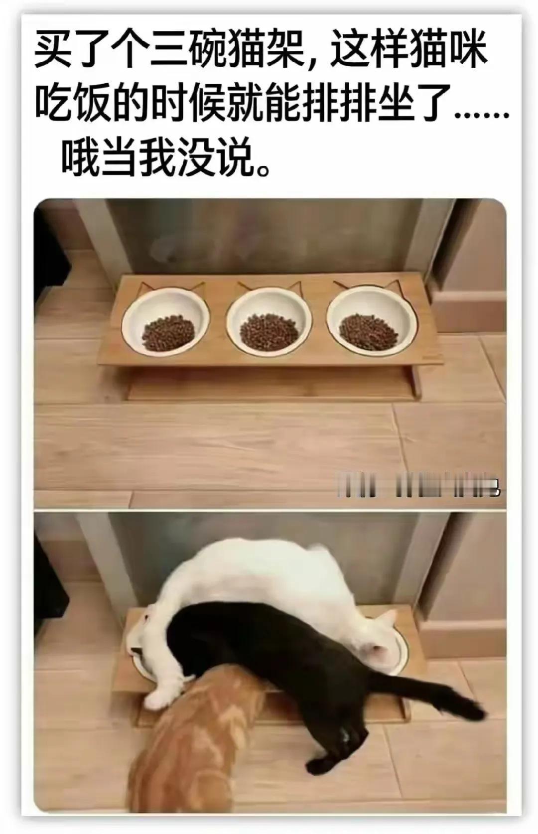当系统能跑起来的时候就不要动他[捂脸哭]