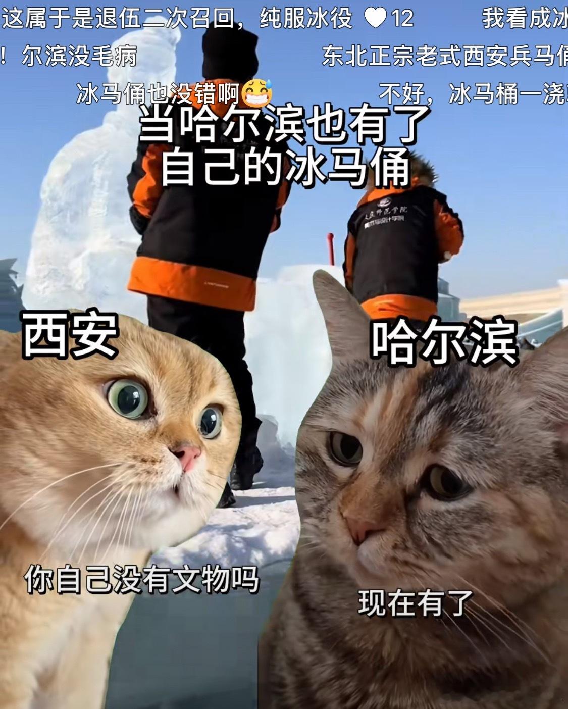 🧊冰马俑啊哈哈哈哈哈被东北老铁的谐音梗笑死😂走啊家人们~一起服冰役去![黄鸡