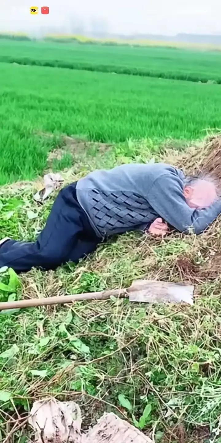 七十岁老人爬坟头痛哭，戳中多少为人子女的心昨天回乡下祭祖，撞见的一幕，到现在