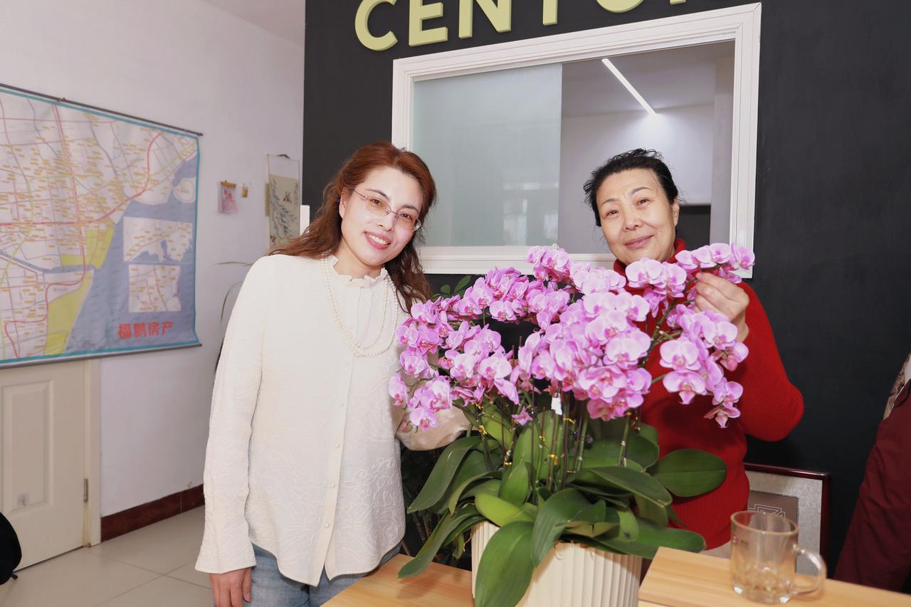 人像摄影约拍跟拍蝴蝶兰宅家穿搭小葫芦室内人像原创原图直出照片