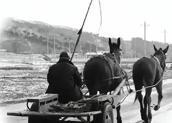 1968年，刚刑满释放的土匪齐达榜，满头大汗地跑到了公安局，说自己有要事禀报，公
