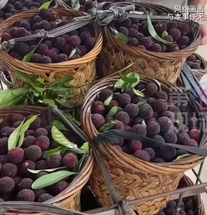 谁来帮帮杨梅农户吧！泡甜蜜素是经销商们私自干的。农户种的杨梅没有问题，现在消费