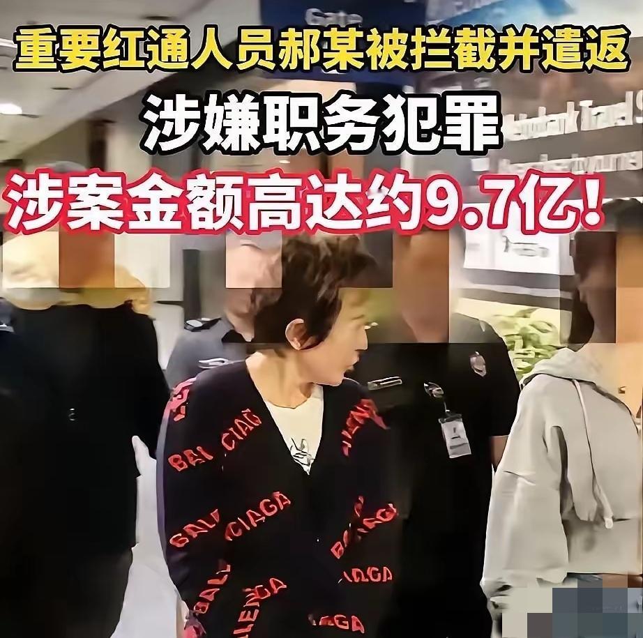 11亿的白天辉刚判死刑，这股劲儿还没过去。现在又来个近10亿的郝某。我都有