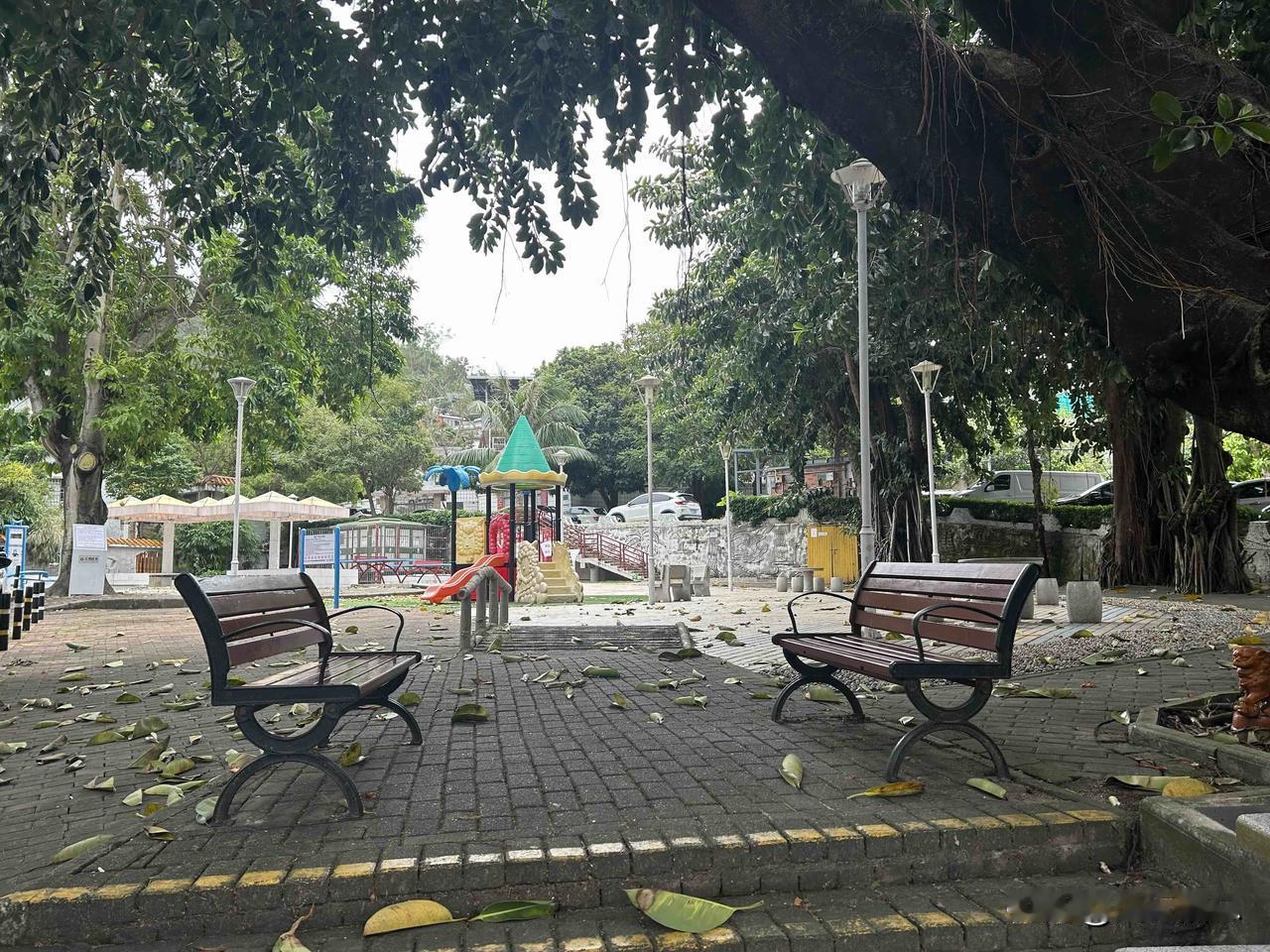 普通跑步入场的新股民投身股市投资，要清楚，“不亏”远比“多赚”重要得多。记住