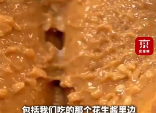 太恶心了？我们平常吃的花生酱里竟然是用蟑螂做的！4月，四川某工厂内圈养220亿只