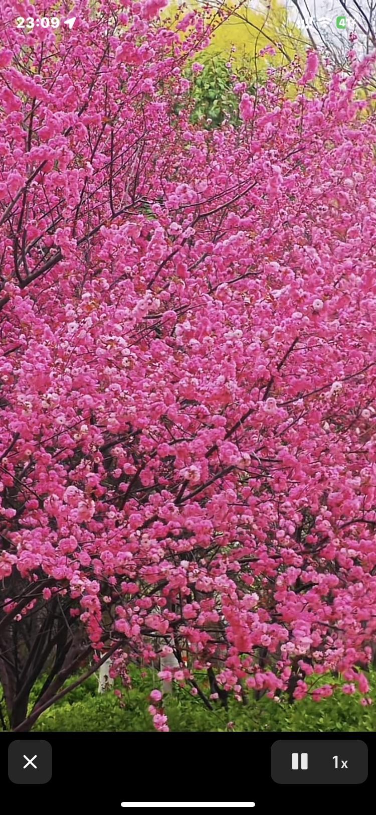 病房里来了一群妇女，是靠窗病人的亲戚，这病人属于同类型病症较轻的，再住一周就可以