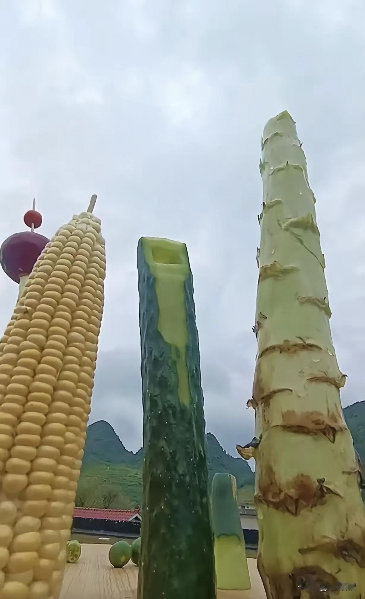 大家看看，就地取材，弄的三件套，这个动手能力属于什么水平