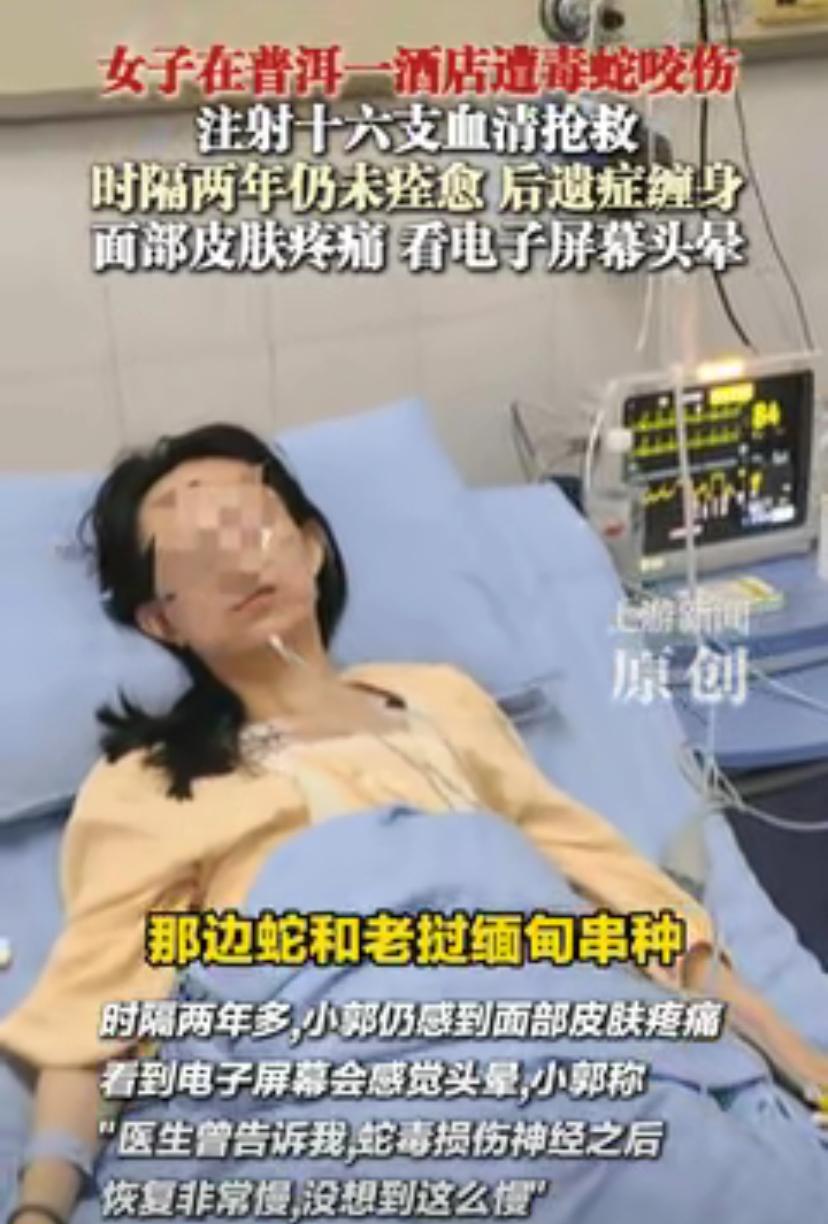 千万千万切记，去南方旅游尽量不要住森林树木草坪包围的酒店，你根本不会想到，酒店也