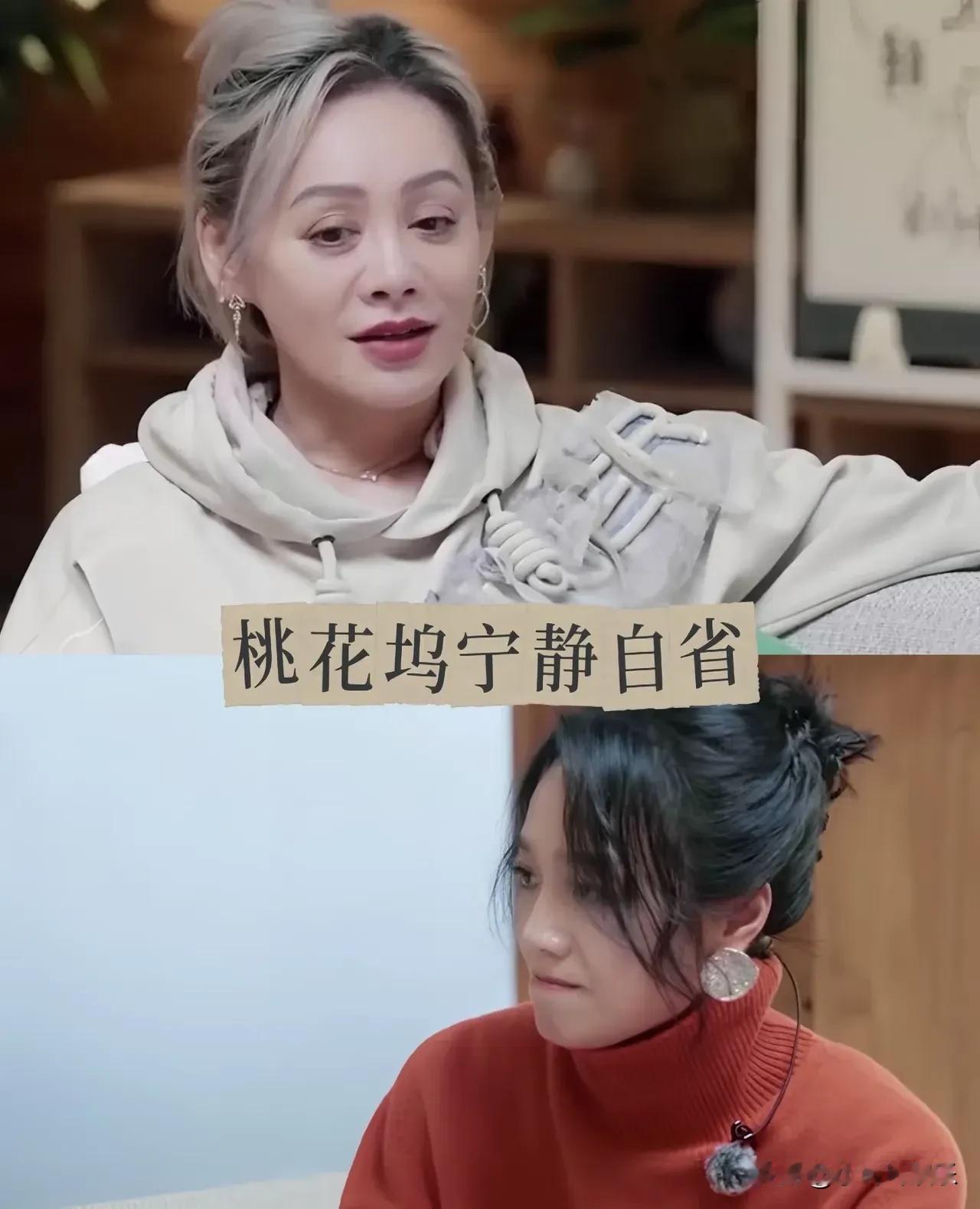看个《桃花坞》让朱丹气够呛但是又被宁静治愈了宁静这波操作高情商得没话说