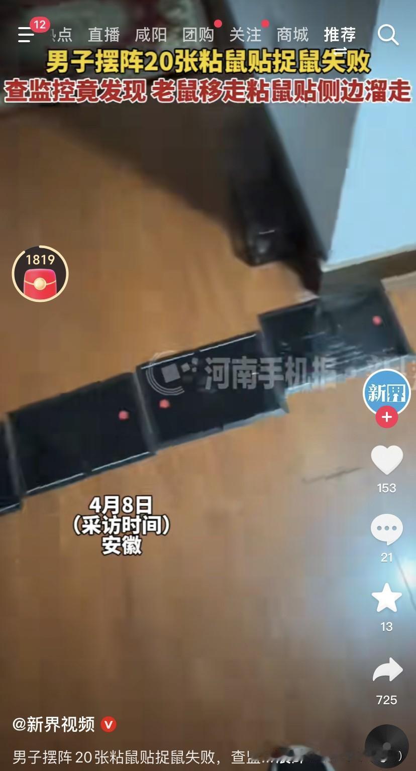 “万万没想到！”近日，安徽马鞍山，一男子见家里有老鼠，就买了许多粘鼠板放在家里各