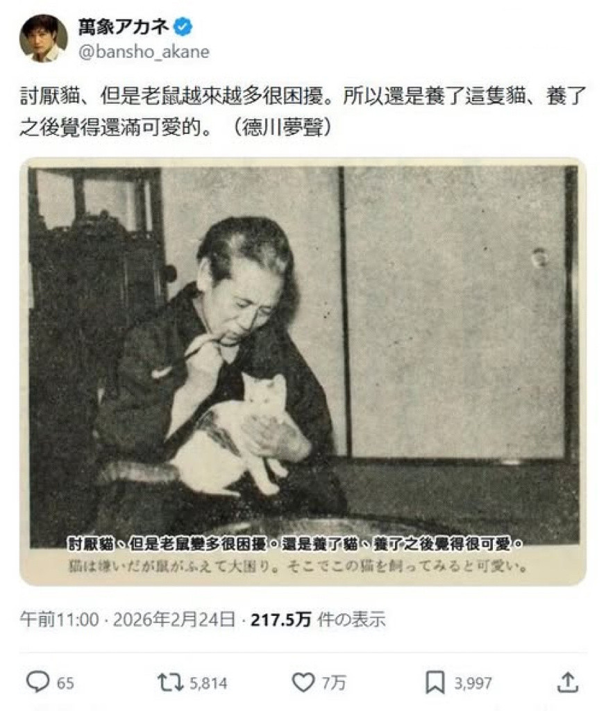 猫猫收服人类案列➕1