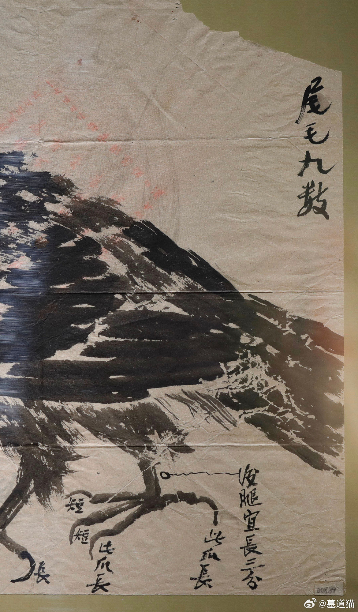 写生鹰本，齐白石，北京画院/藏