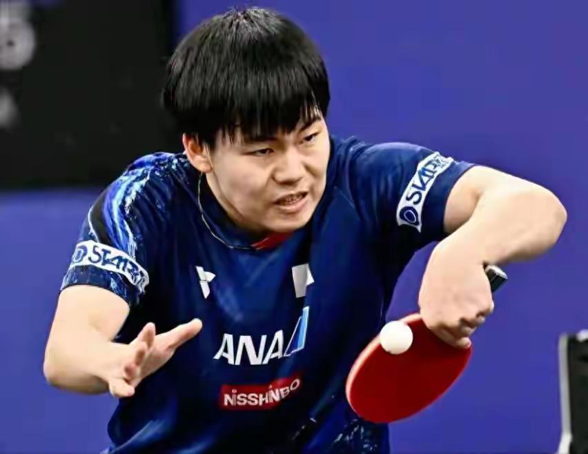 2026年乒乓球海口亚洲杯还没开打，参赛名单就已经“面目全非”。2月2日传来新消