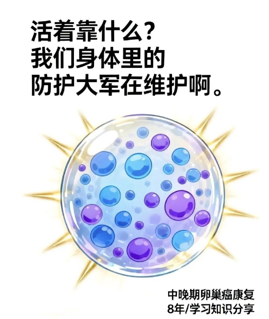 一个人最多承受多少次化疗？我曾经看到一个男人，他是肝癌病人，才40岁，化疗第三次