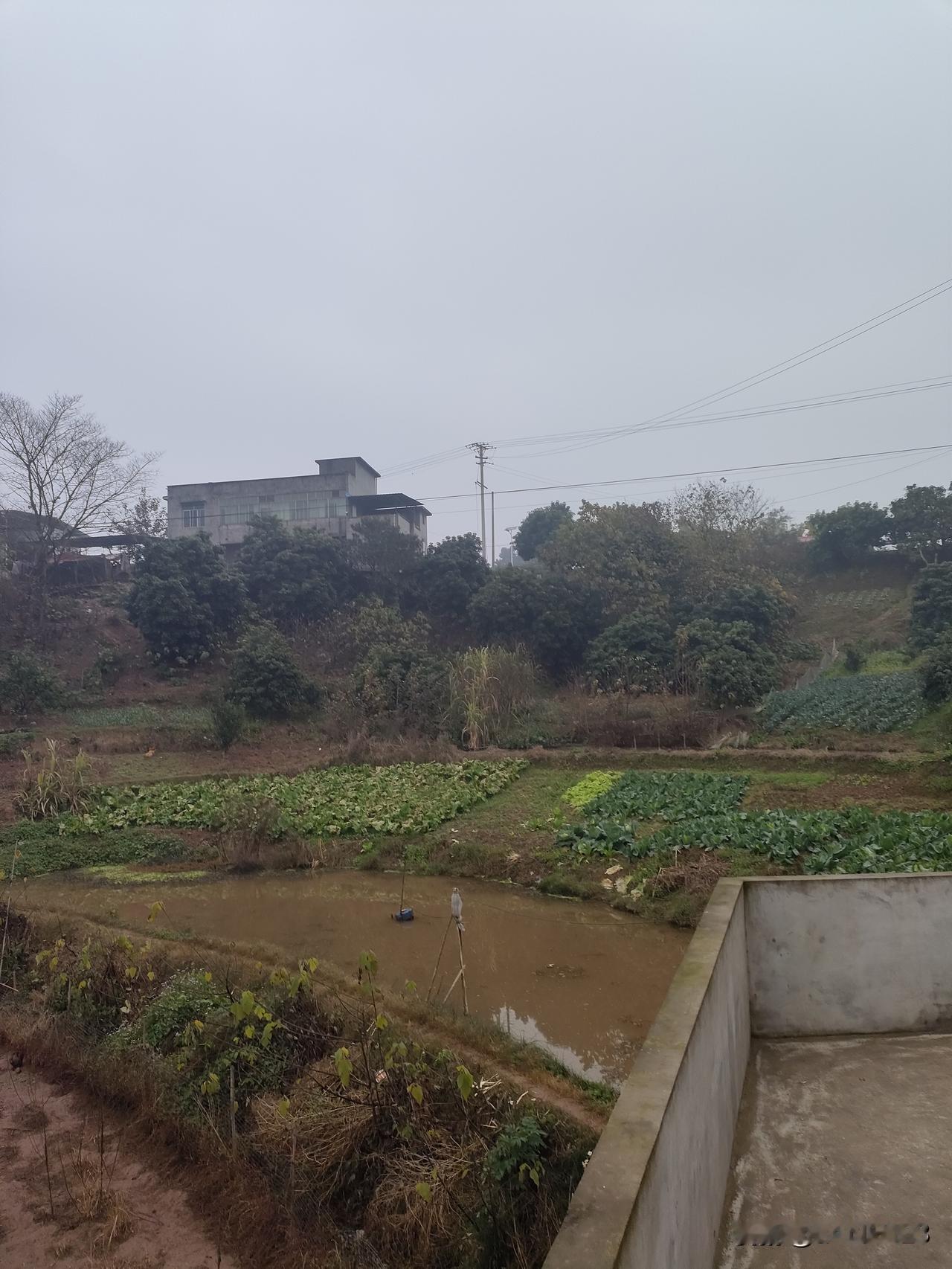 帮着栽了点四季豆，现在脚杆都还在疼😣，农民种地真的很辛苦，四季豆种子，地薄膜，