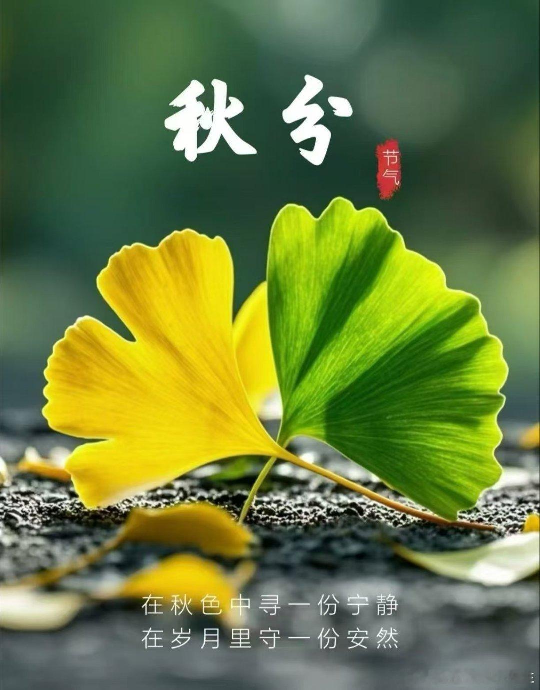 明日9月24日十二生肖运势NO.1酉鸡，比肩主事，“三合”吉星入命，属鸡人干