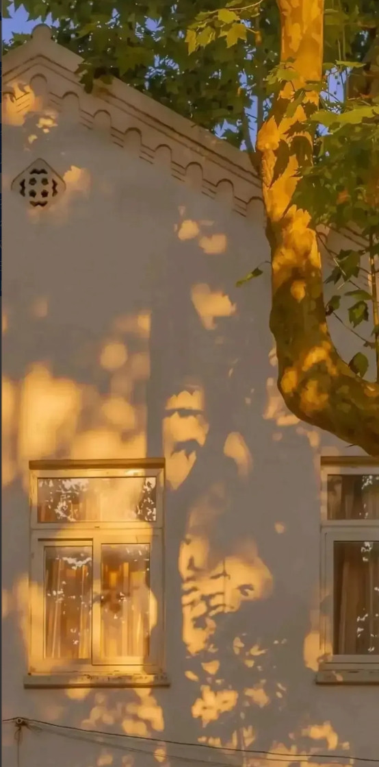 经常家暴老婆的邻居，昨晚被他的两个儿子狠狠的打了一顿，两个孩子下手很重，家暴男被