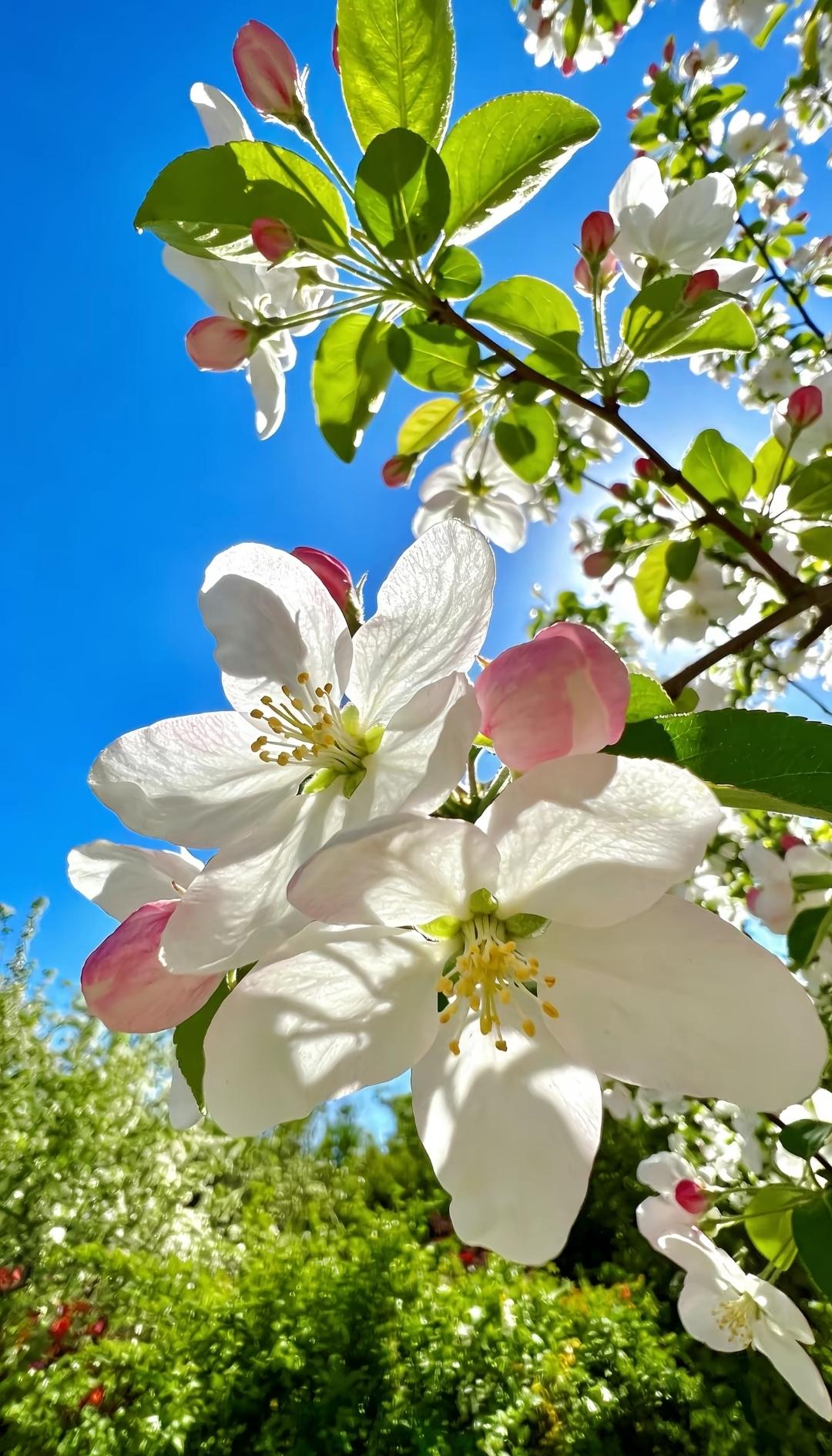 一位三甲医院的主治医师说：“如果患者进了急诊，不论患者的家属是有钱还是没钱，医生