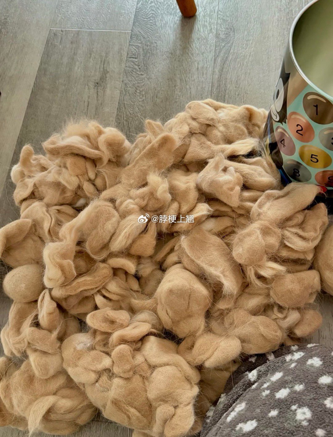 攒了很久的猫毛舍不得丢大家说能拿来干嘛